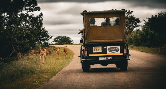 SleepOver Safaris Game Drives